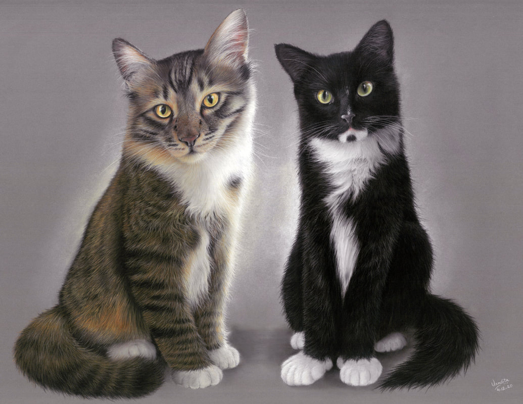 Cat portrait, pet art
